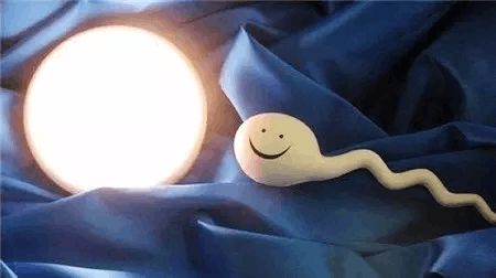 拉拉供卵代孕中心